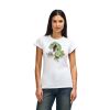 Womens Softstyle Cotton Tee Thumbnail
